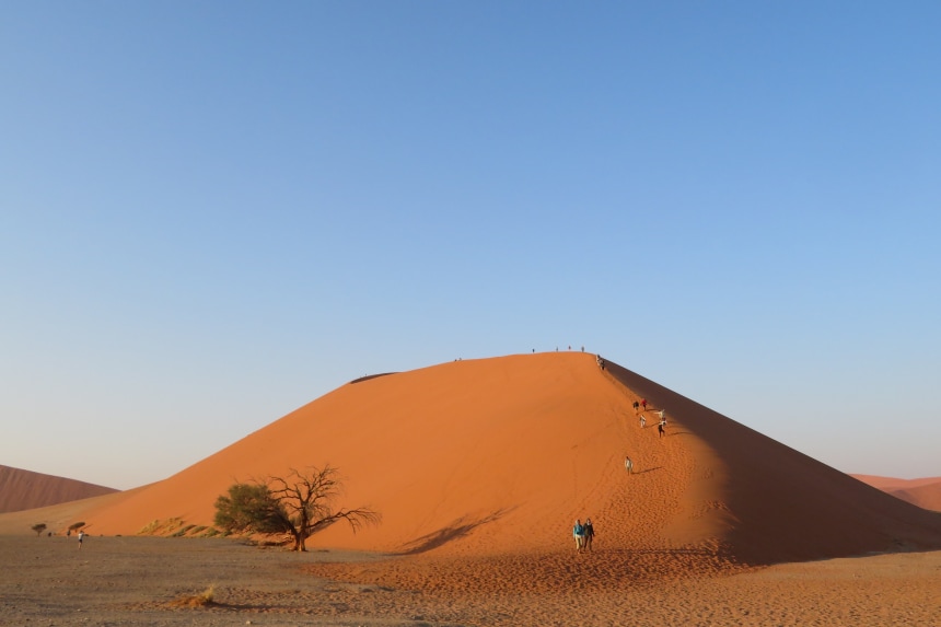 Dune 45 Landscape, Sossusvlei