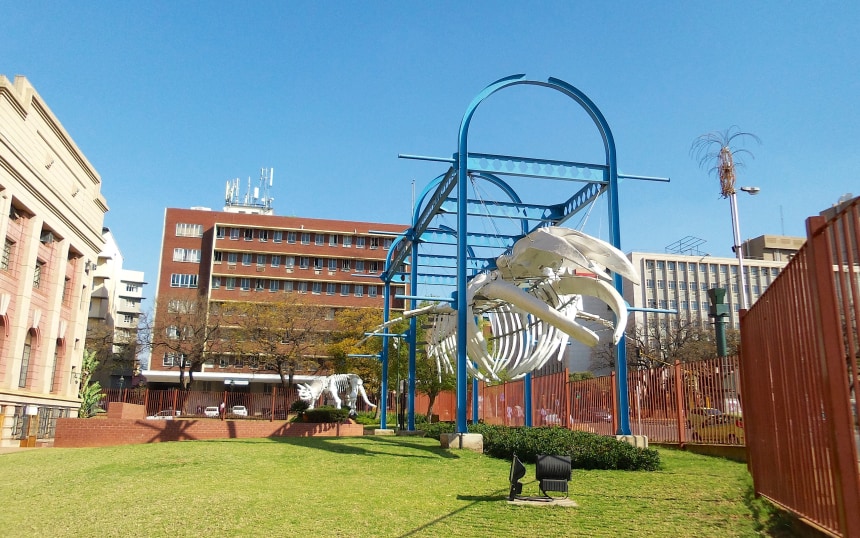 Transvaal Museum