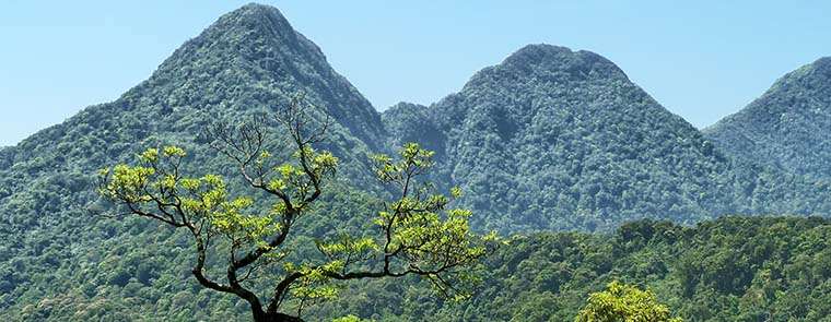 Tam Dao National Park