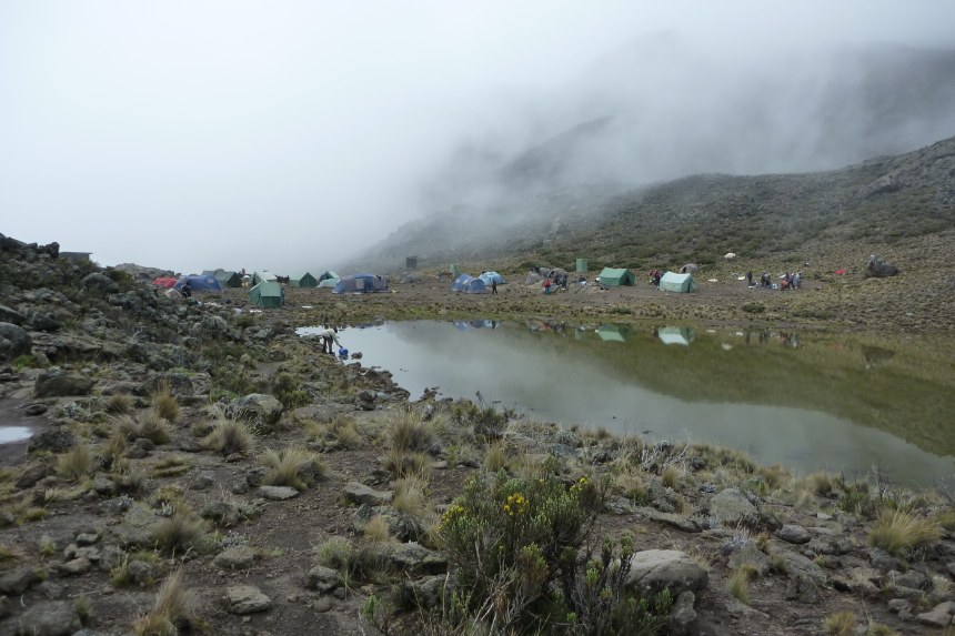 Camping in Rongai Route Trekking
