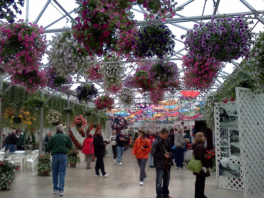 Glacier Gardens, Juneau, Alaska
