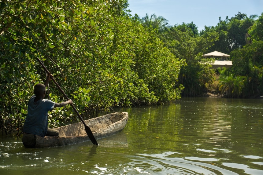 African children practice canoeing in the River Gambia near Makasutu forest in Gambia