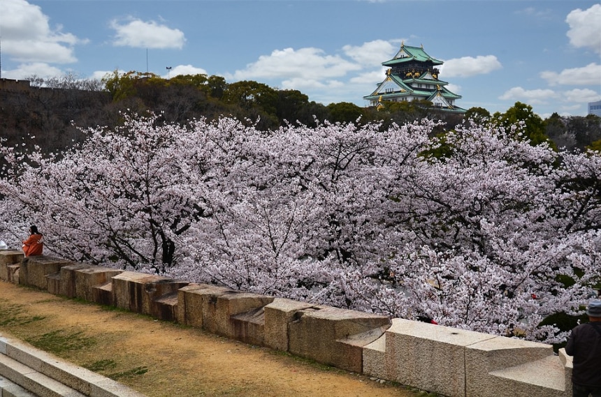Hanami