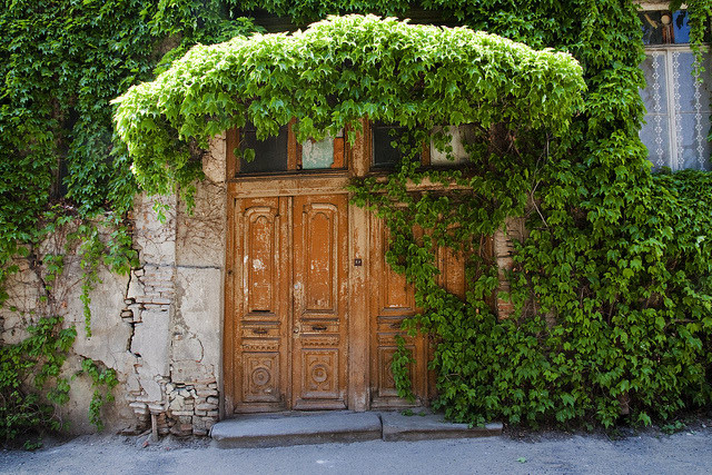 Verdant Old Town Tbilisi