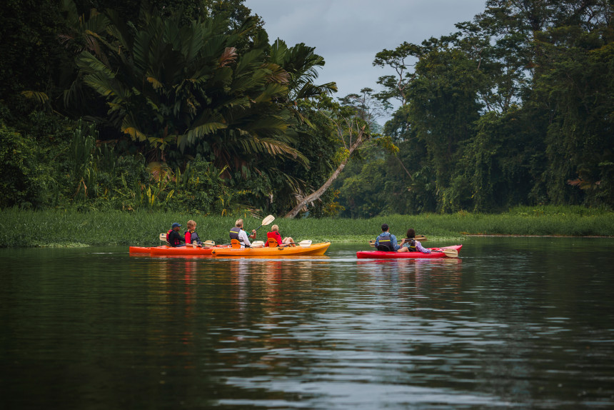 Rowboat tour on Tortuguero canal and forest in Costa Rica