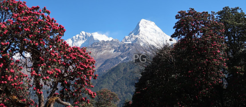 Poon hill trek