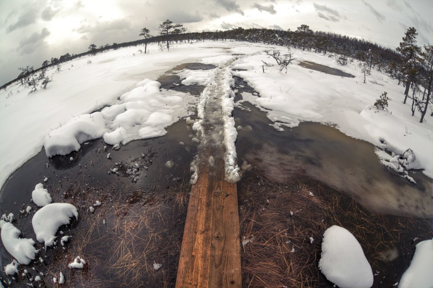 Kakerdaja Bog Pathway