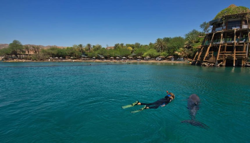 Dolphin Reef in Eilat