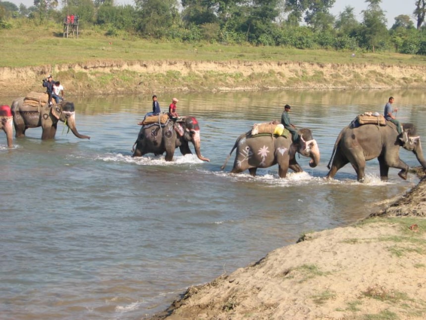 Chitwan National Park