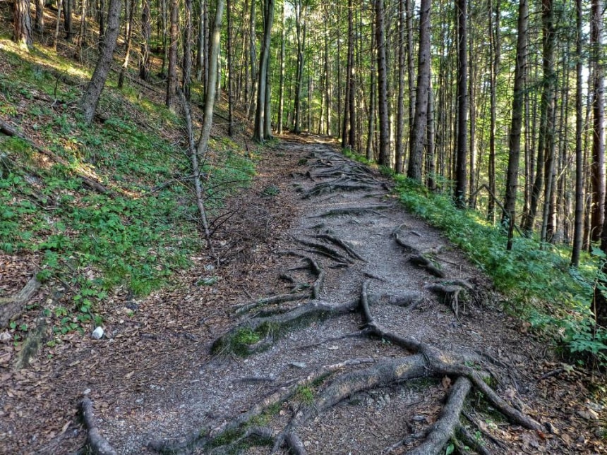 Slovak Paradise National Park