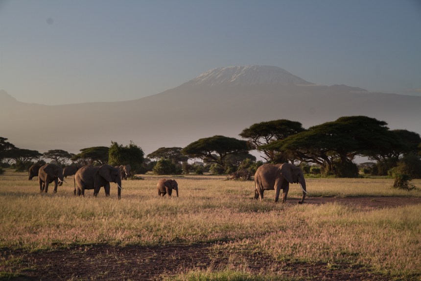 View of Mount Kilimanjaro from Amboseli National Park