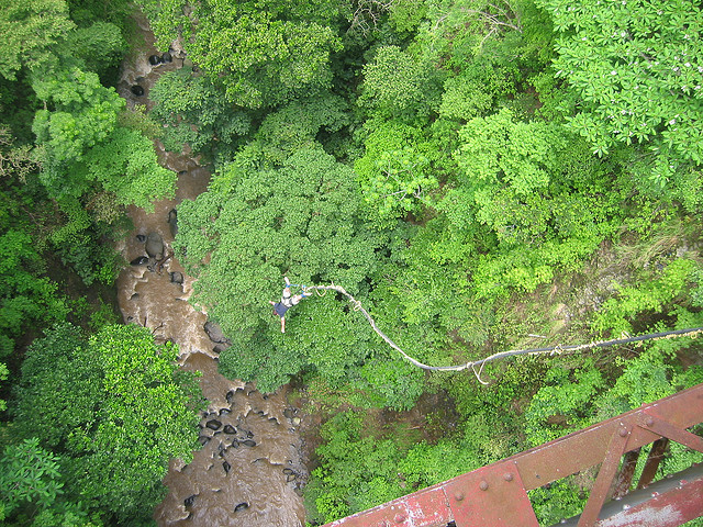 Bungee Jumping