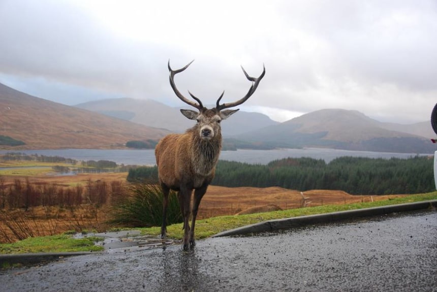 Rannoch Moor, Lochaber
