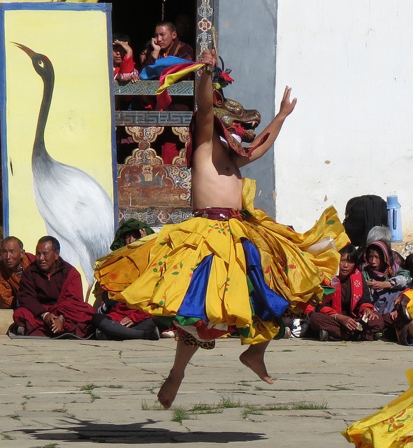 Black Necked Crane Festival