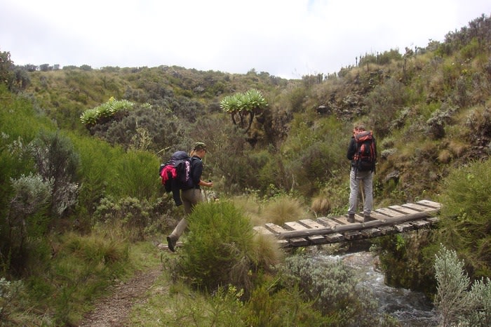 Trekking Mount Kenya - Trekking to the summit