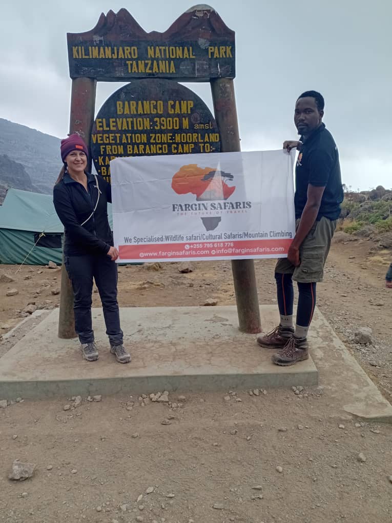 Mt. Trekking to Kilimanjaro