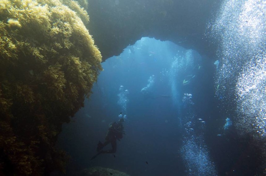 Dive Azure Window and the Blue Hole Gozo