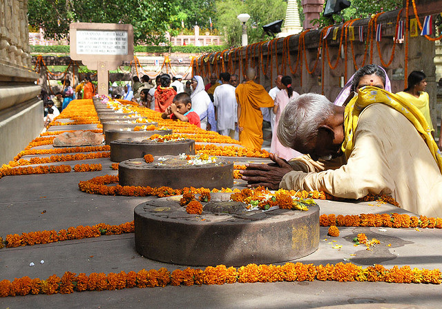 Flowers that sprouted in the Buddha's Footsteps