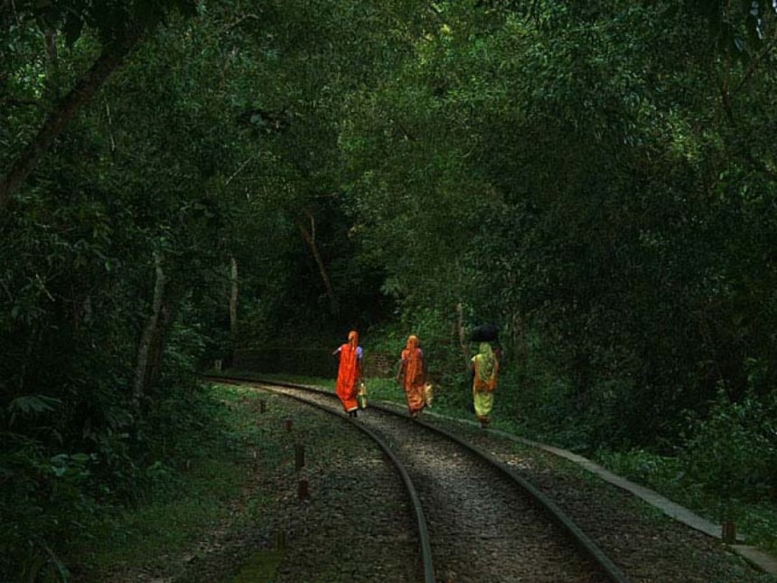 Lauachari Rain Forest