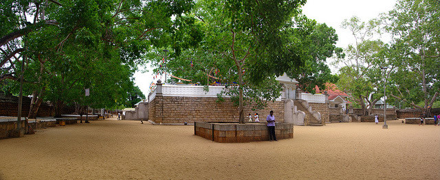 Maha Bodhi, Anuradhapura