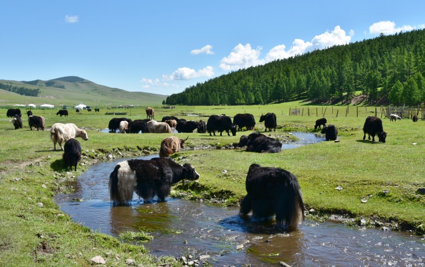 Tsenkher Hot Springs