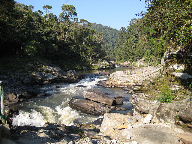 River, Ranomafana National Park