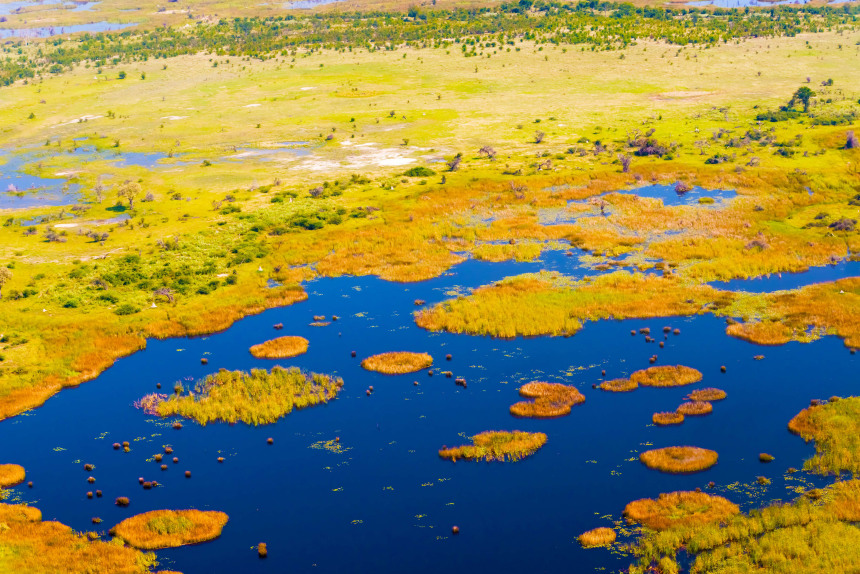 Okavango Delta