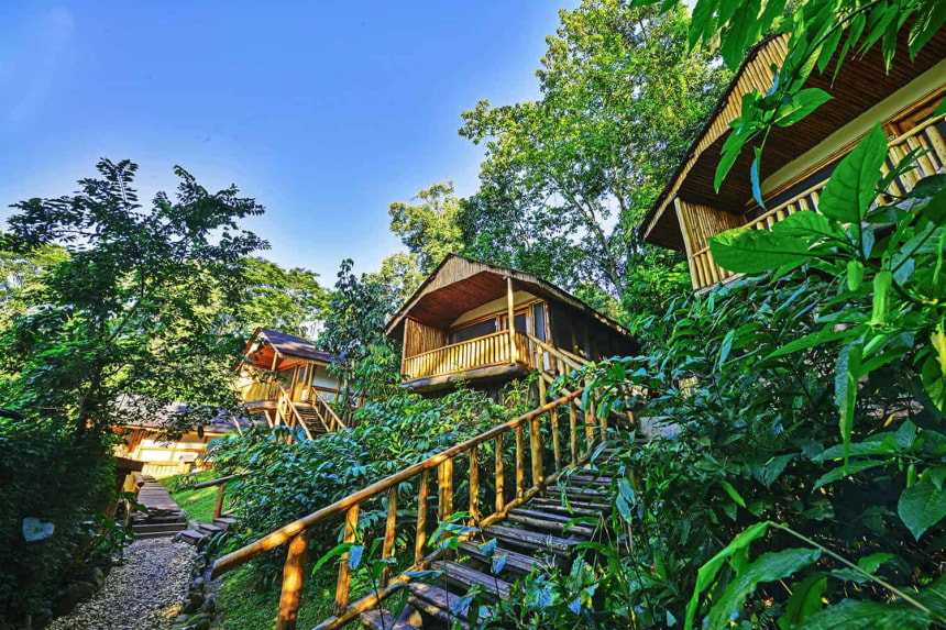 Buhoma lodge with world blossom safaris