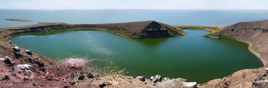 Crocodile Turkana Lake
