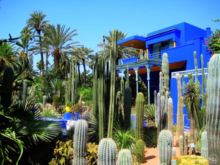 Majorelle Gardens