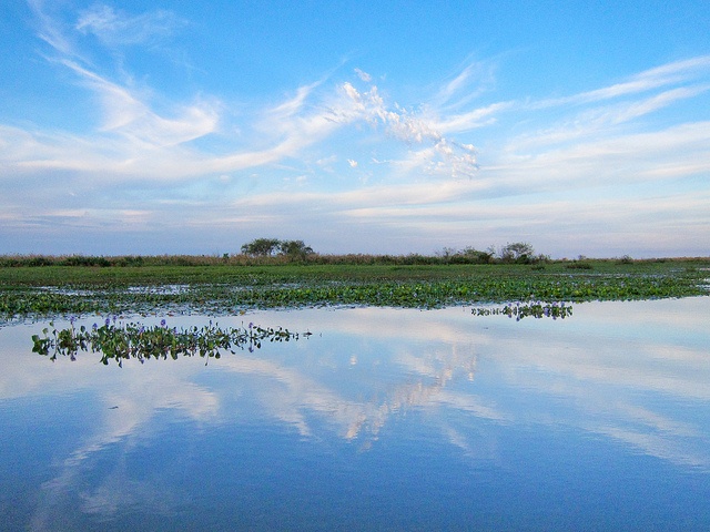 Esteros del Iberá Laguna Iberá