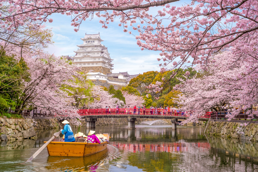 Boat ride on the moat of Himeji Castle with cherry blossom in Kyoto, Japan