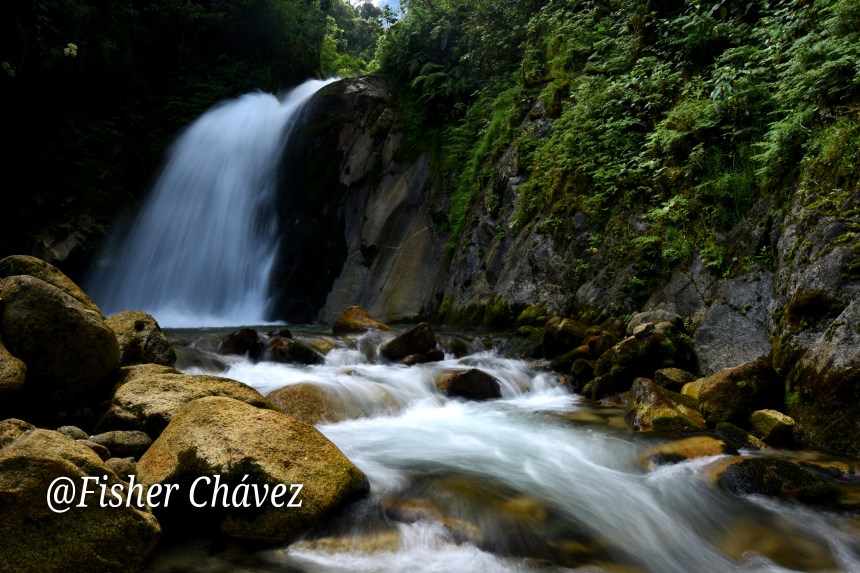 claud forest waterfall