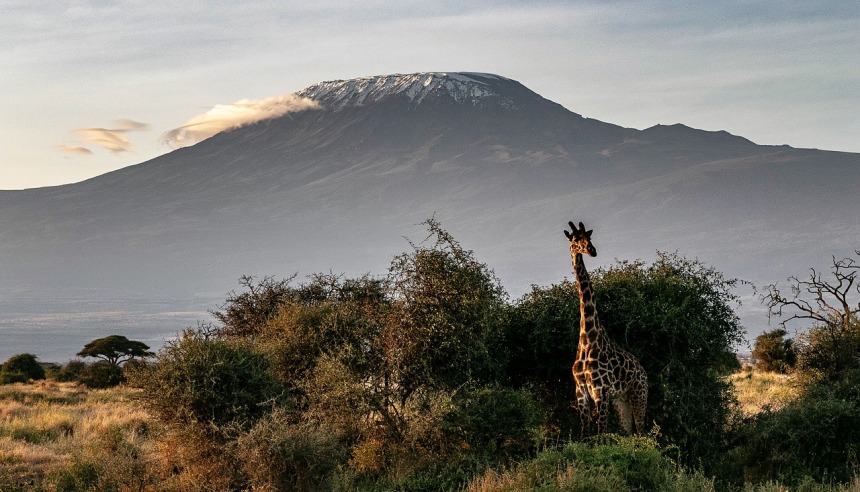 Kilimanjaro National Park