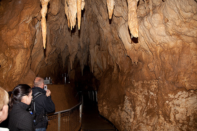 Waitomo caves in New Zealand