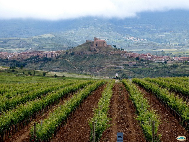 La Rioja Wine Region