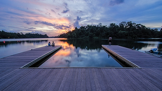 MacRitchie Reservoir