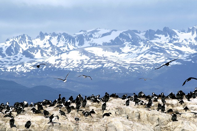 Tierra del Fuego Region
