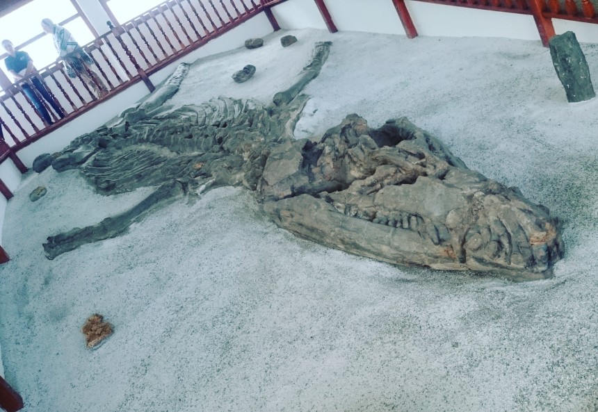 Título de la imagen