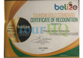License Image