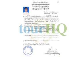License Image