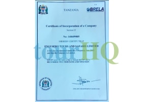License Image