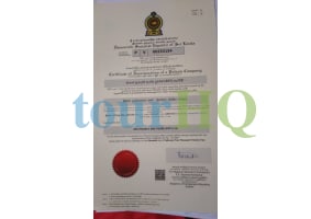 License Image