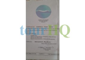 License Image