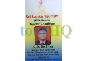 License Image