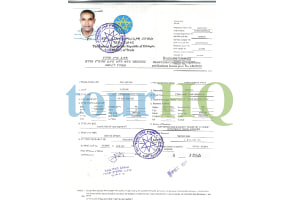 License Image