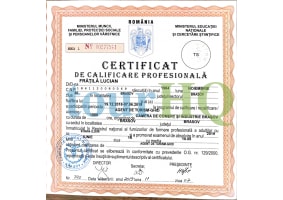 License Image