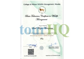 License Image