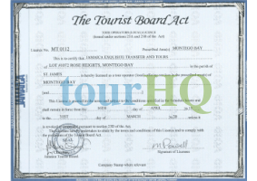 License Image