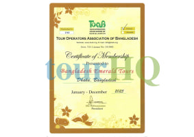License Image